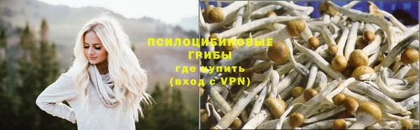 шишки Богородицк