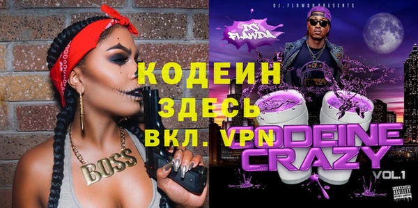 шишки Богородицк