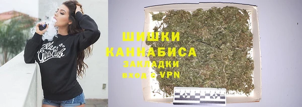 шишки Богородицк