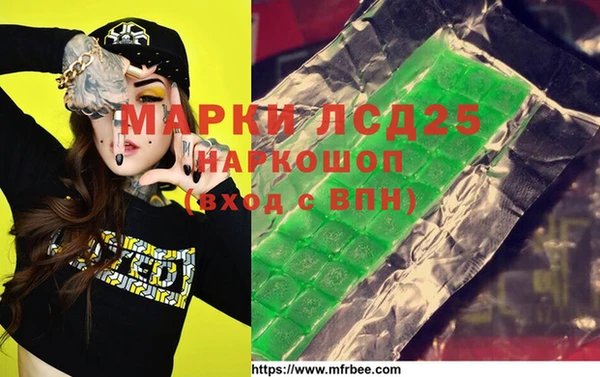 шишки Богородицк