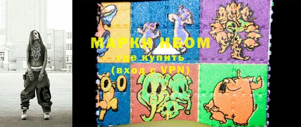 шишки Богородицк