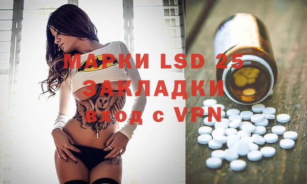 шишки Богородицк