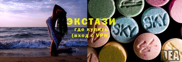шишки Богородицк