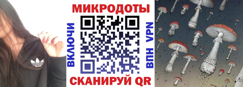 дарнет шоп  Иноземцево  KRAKEN как зайти  даркнет официальный сайт  Галлюциногенные грибы Psilocybine cubensis 