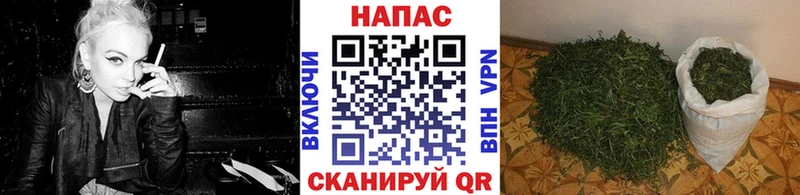 цена   mega зеркало  Марихуана тримм  Иноземцево 